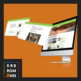 TYPO3-Website: Retriever Soko e.V.